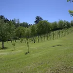 Il Villino 2*