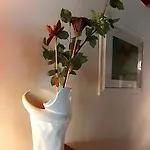 Bed and breakfast Il Villino Bolonia